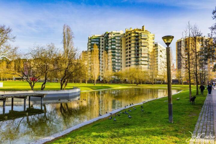 Green Executive Apartment In The Heart Of Lissabon Buitenkant foto